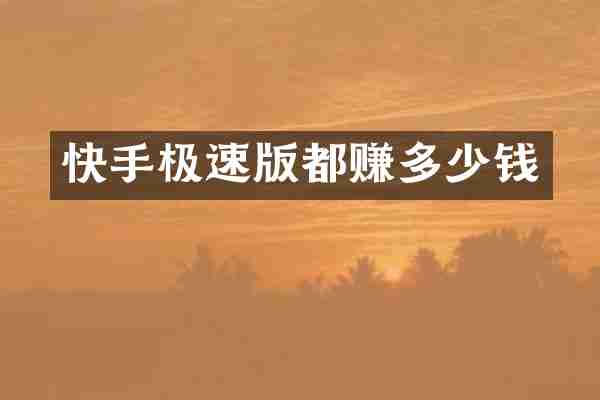 快手极速版都赚多少钱