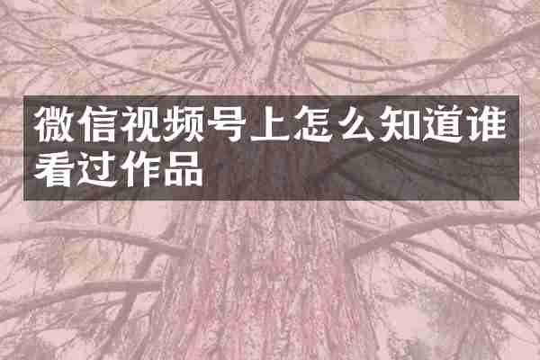 微信视频号上怎么知道谁看过作品