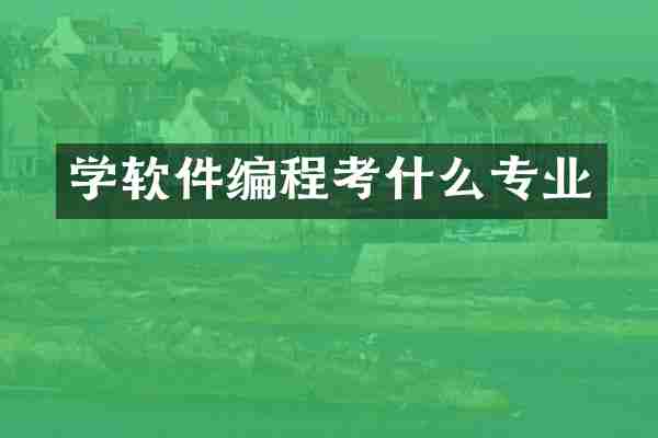 学软件编程考什么专业