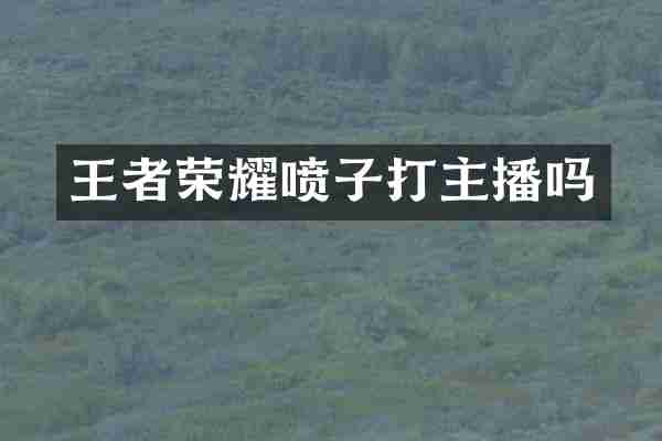 王者荣耀喷子打主播吗