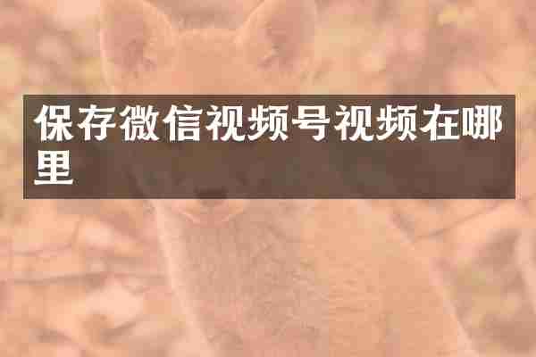 保存微信视频号视频在哪里