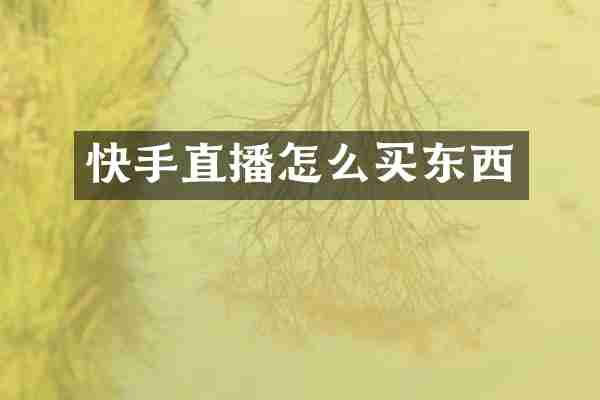 快手直播怎么买东西