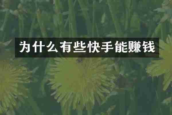 为什么有些快手能赚钱