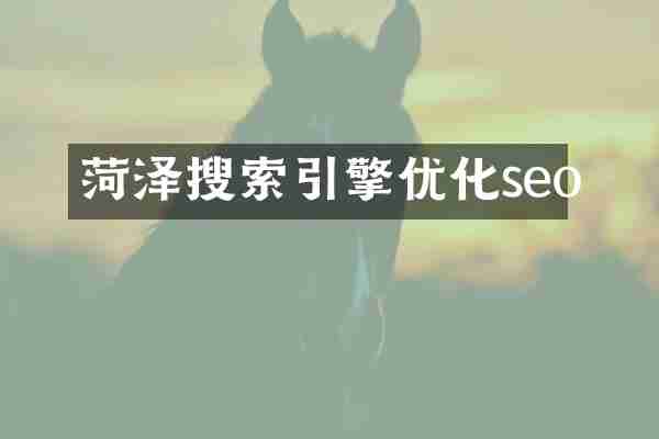 菏泽搜索引擎优化seo