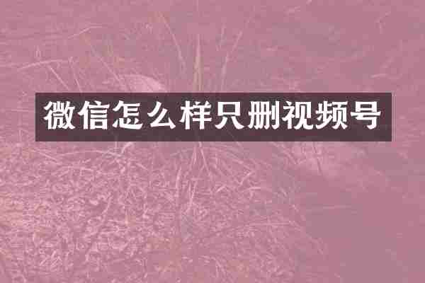 微信怎么样只删视频号