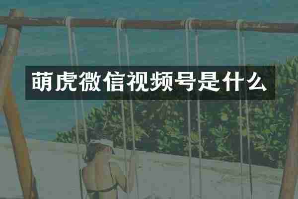 萌虎微信视频号是什么