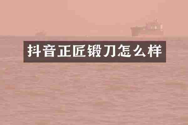 抖音正匠锻刀怎么样