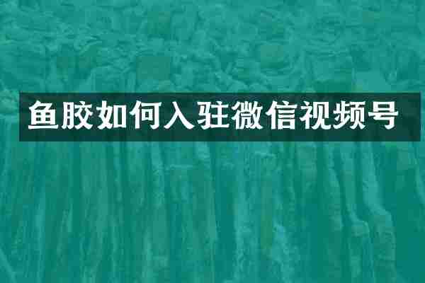 鱼胶如何入驻微信视频号