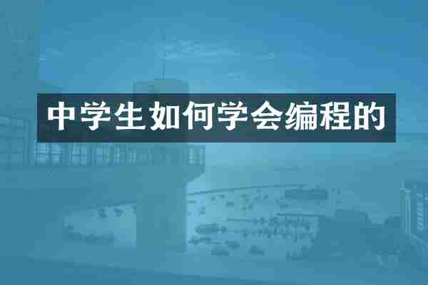 中学生如何学会编程的