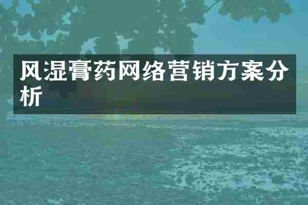 风湿膏药网络营销方案分析