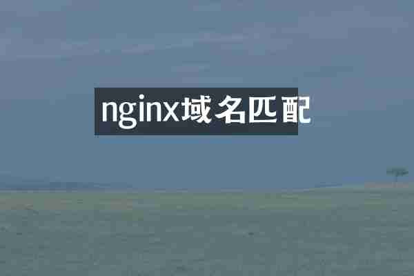 nginx域名匹配