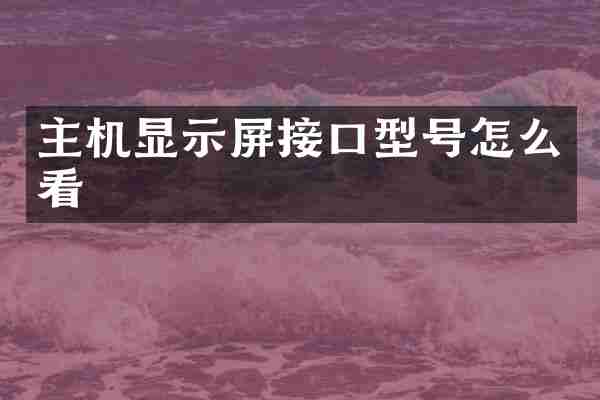 主机显示屏接口型号怎么看