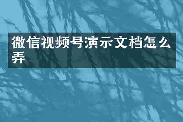 微信视频号演示文档怎么弄