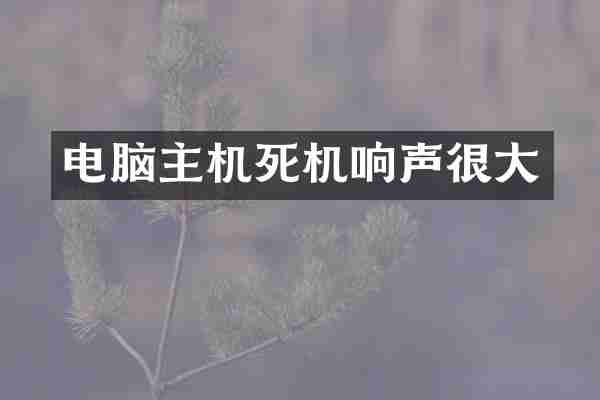 电脑主机死机响声很大