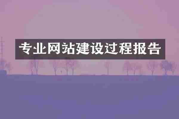 专业网站建设过程报告