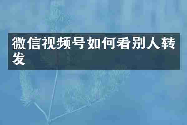微信视频号如何看别人转发