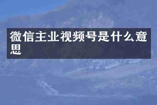 微信主业视频号是什么意思