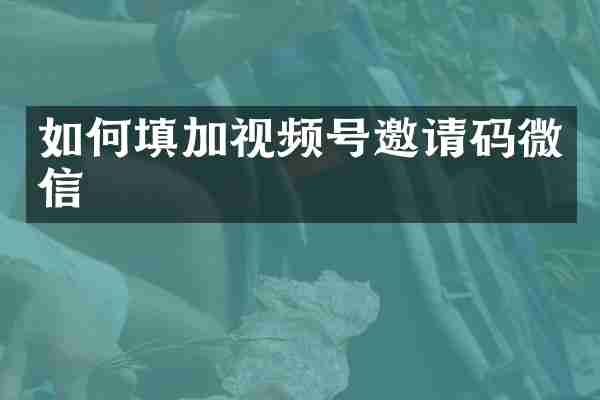 如何填加视频号邀请码微信