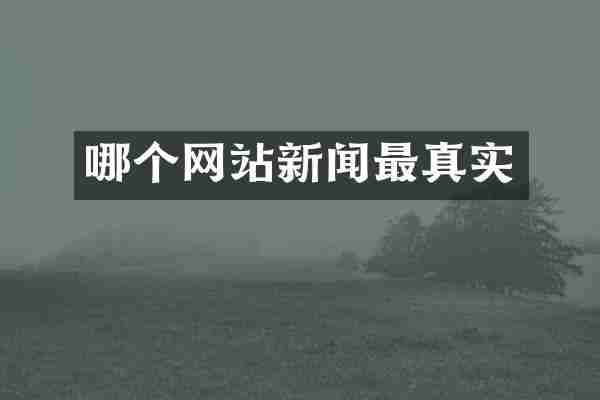 哪个网站新闻最真实