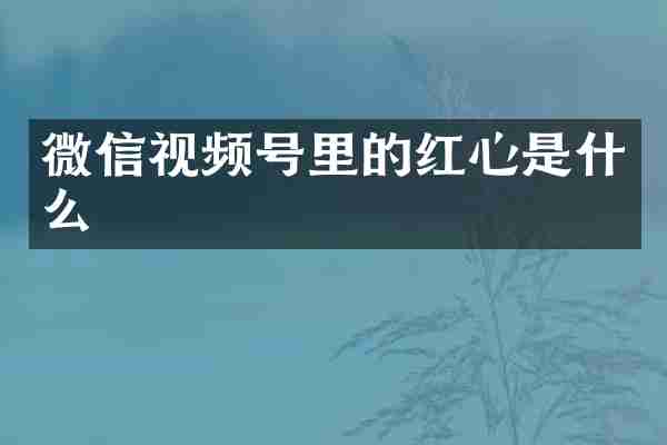 微信视频号里的红心是什么