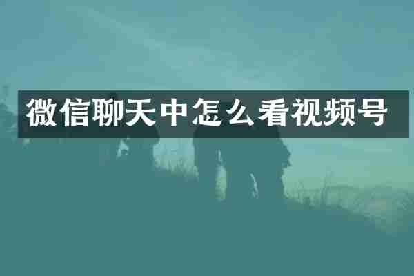 微信聊天中怎么看视频号