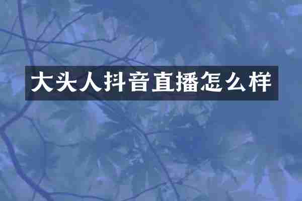大头人抖音直播怎么样