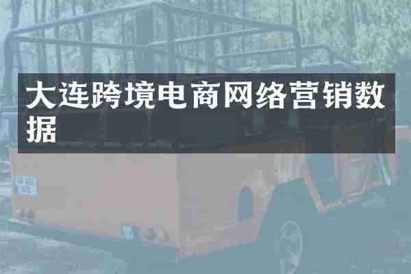 大连跨境电商网络营销数据