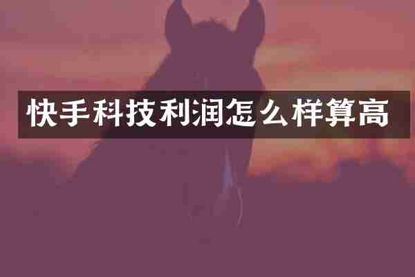 快手科技利润怎么样算高