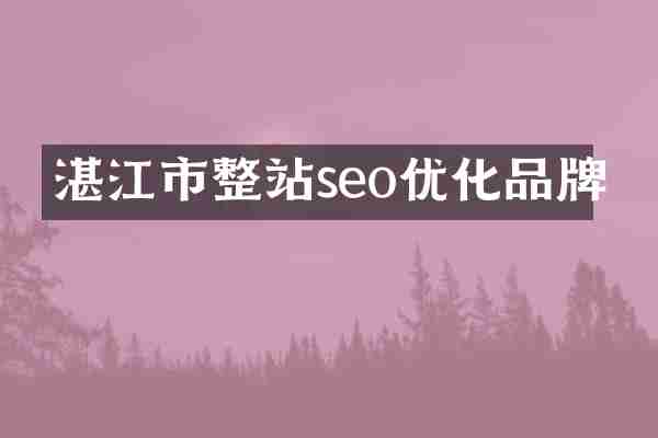 湛江市整站seo优化品牌