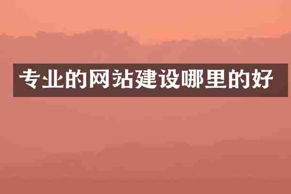 专业的网站建设哪里的好