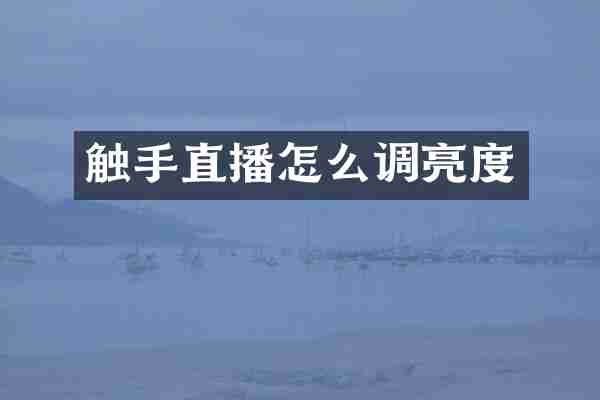 触手直播怎么调亮度