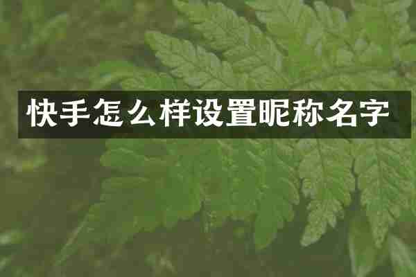 快手怎么样设置昵称名字