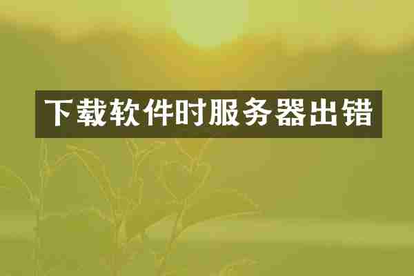 下载软件时服务器出错