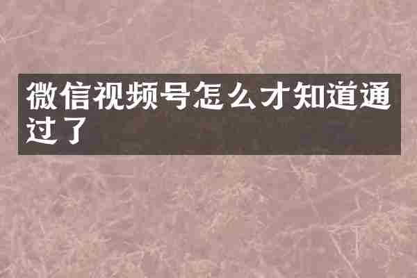 微信视频号怎么才知道通过了