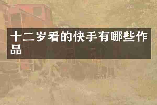 十二岁看的快手有哪些作品