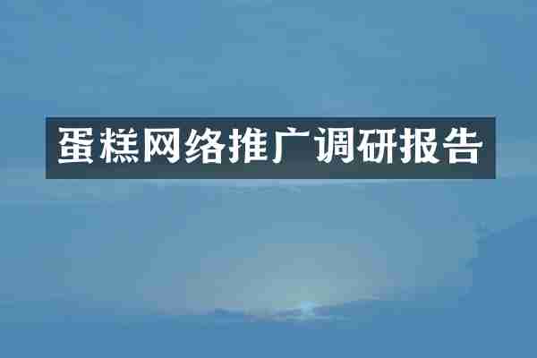 蛋糕网络推广调研报告