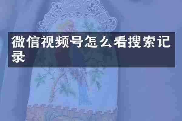微信视频号怎么看搜索记录