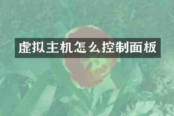虚拟主机怎么控制面板