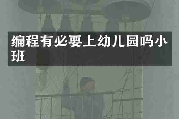 编程有必要上幼儿园吗小班