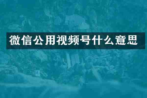 微信公用视频号什么意思