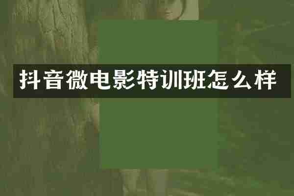抖音微电影特训班怎么样