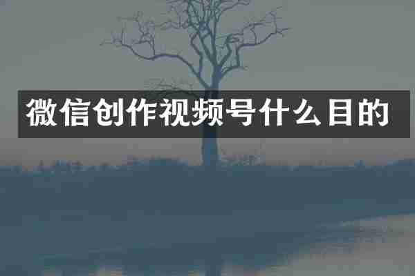 微信创作视频号什么目的