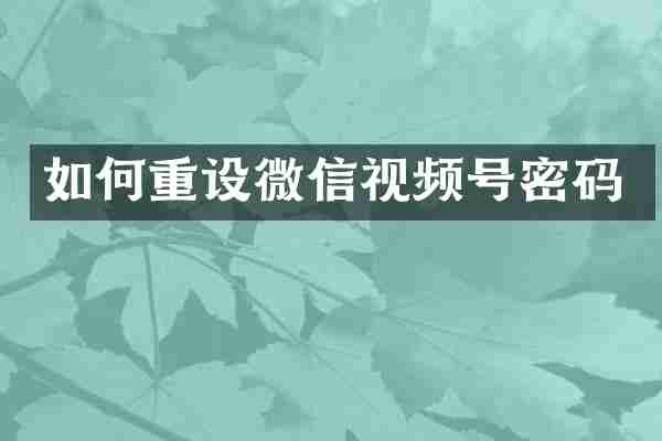 如何重设微信视频号密码
