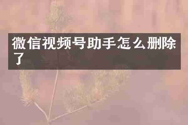 微信视频号助手怎么删除了
