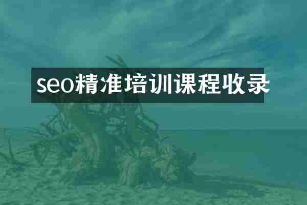 seo精准培训课程收录