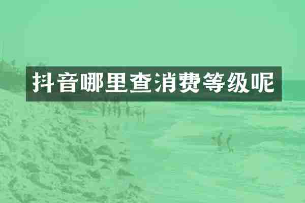 抖音哪里查消费等级呢