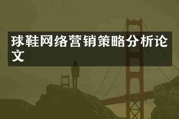 球鞋网络营销策略分析论文