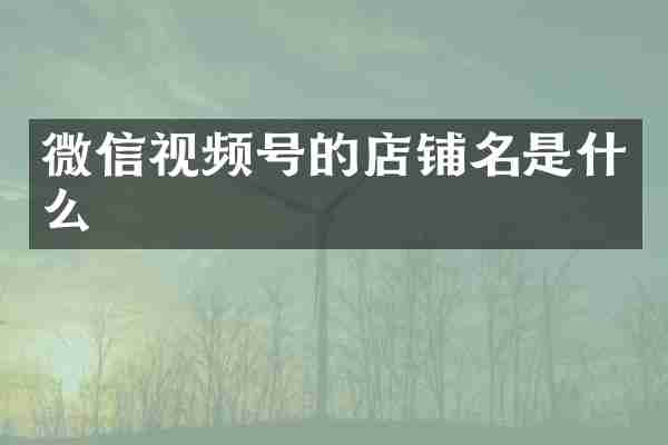 微信视频号的店铺名是什么