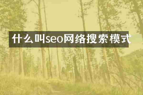 什么叫seo网络搜索模式