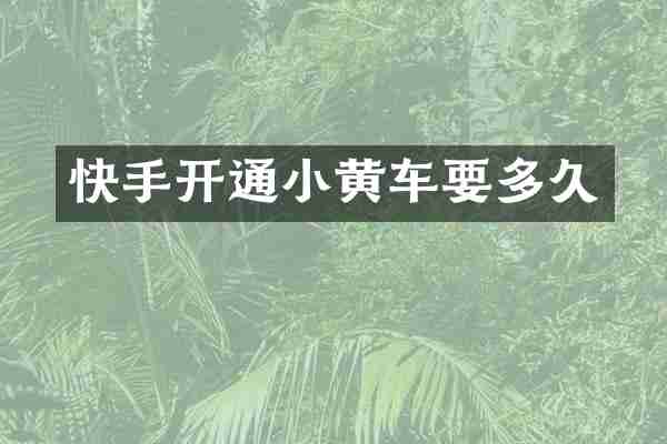 快手开通小黄车要多久